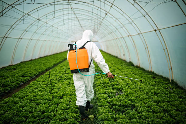 Best Best Pest Control Companies  in Galax, VA