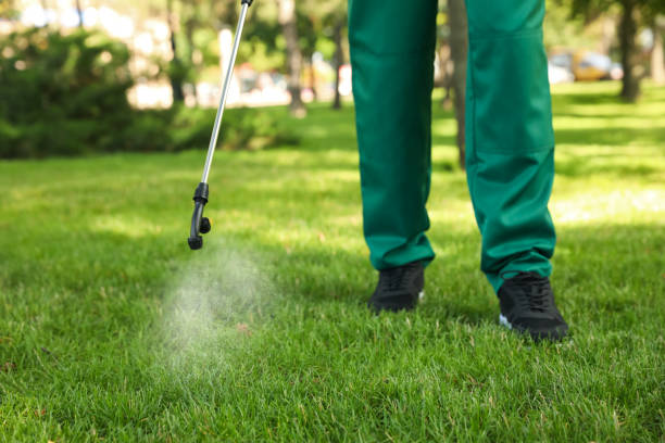 Best Cockroach Control Services  in Galax, VA