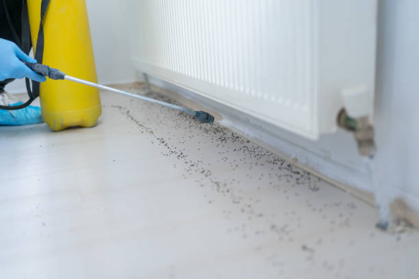 Best Residential Pest Control  in Galax, VA